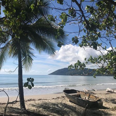 Daintree Rainforest Beach House Villa Diwan Eksteriør bilde