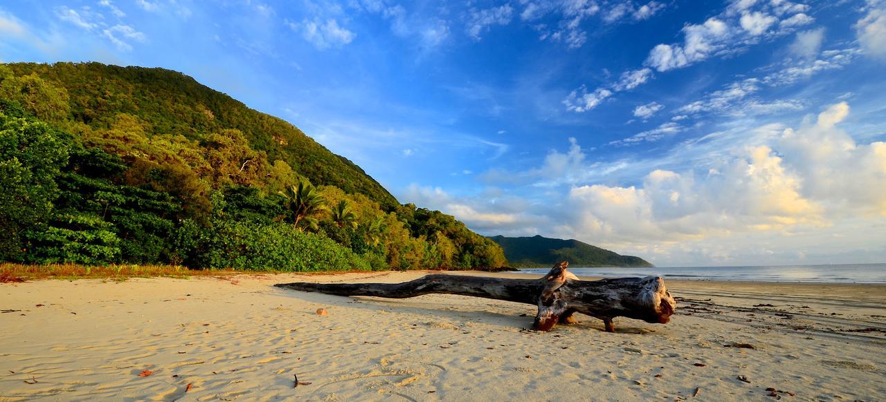 Daintree Rainforest Beach House Villa Diwan Eksteriør bilde