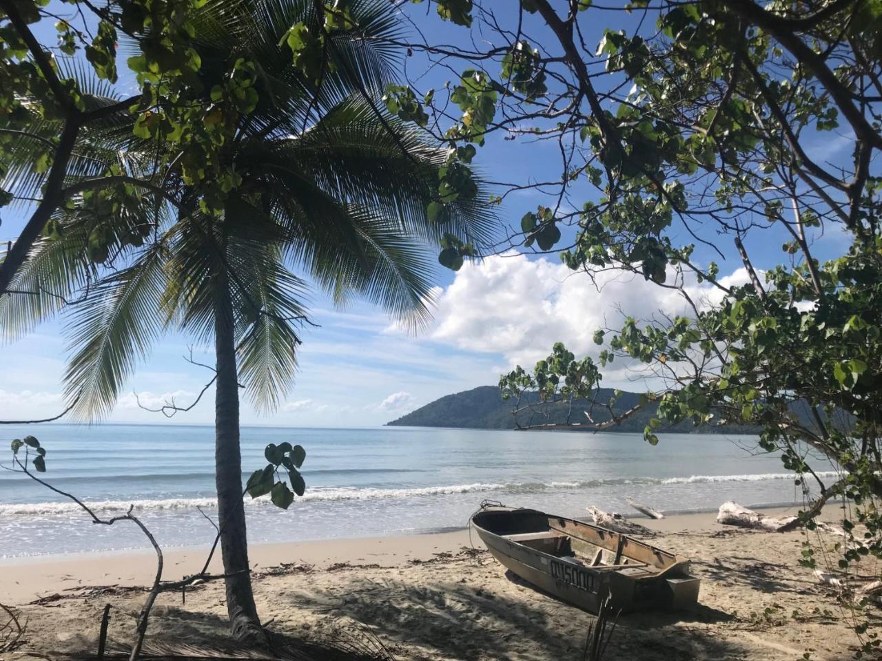 Daintree Rainforest Beach House Villa Diwan Eksteriør bilde